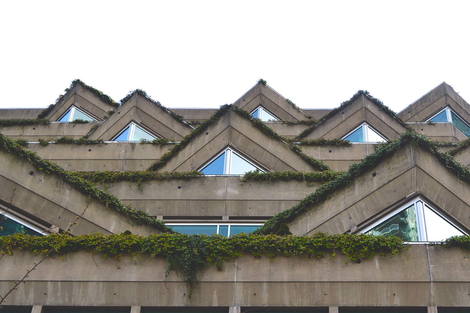 Evergreen Building, 1980