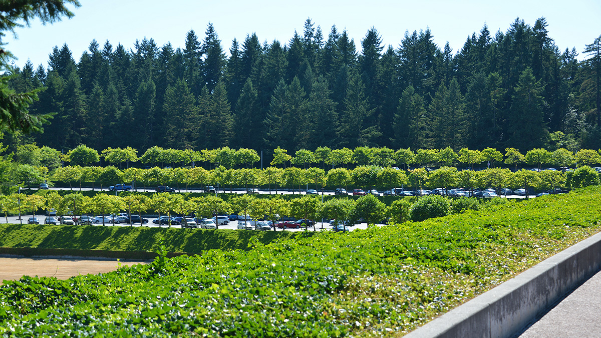 Weyerhaeuser International Headquarters, Federal Way, WA - Photo by Chris Diamond and PWP, 2015. Courtesy of The Cultural Landscape Foundation.