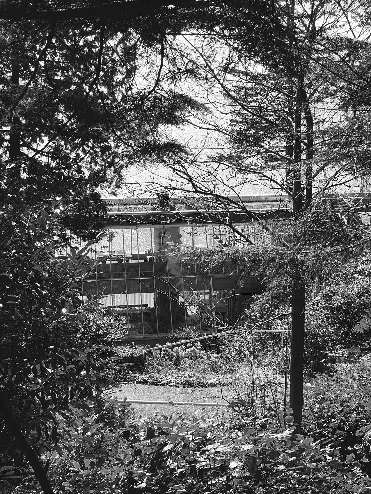 Taylor House, 1983