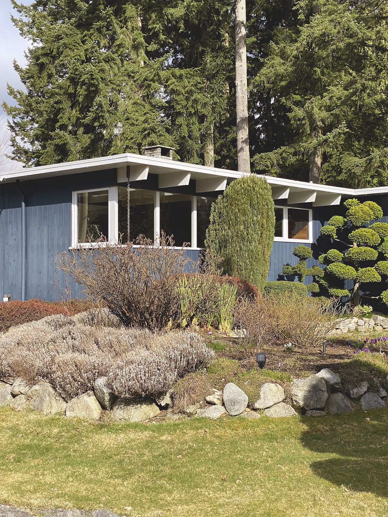 Pool House, 1956