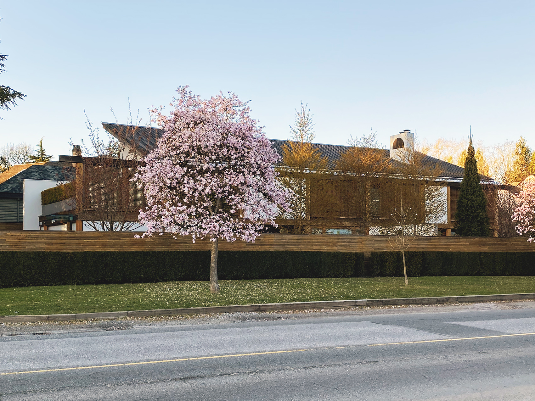 Hwang House, 1982