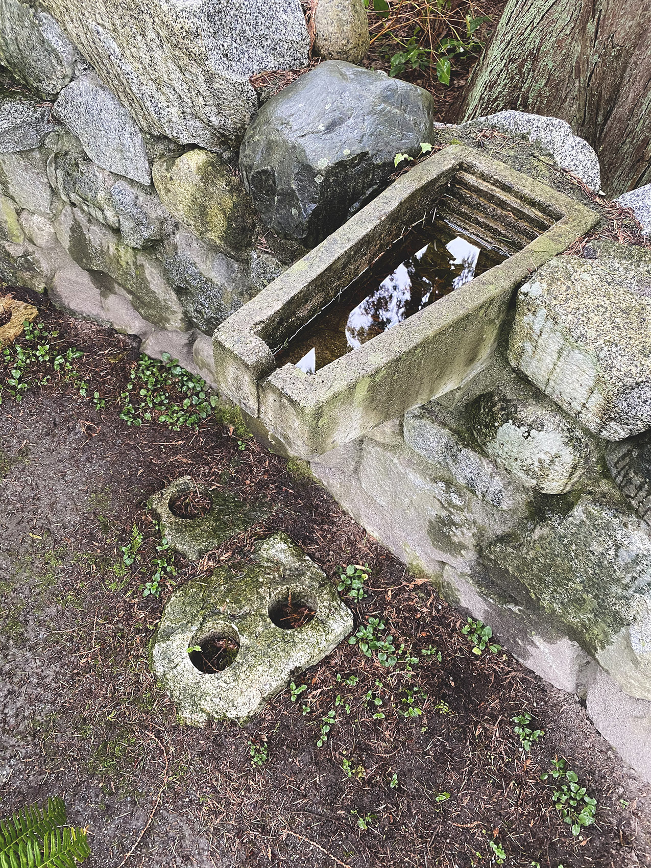 Woods Columbaria, 1993