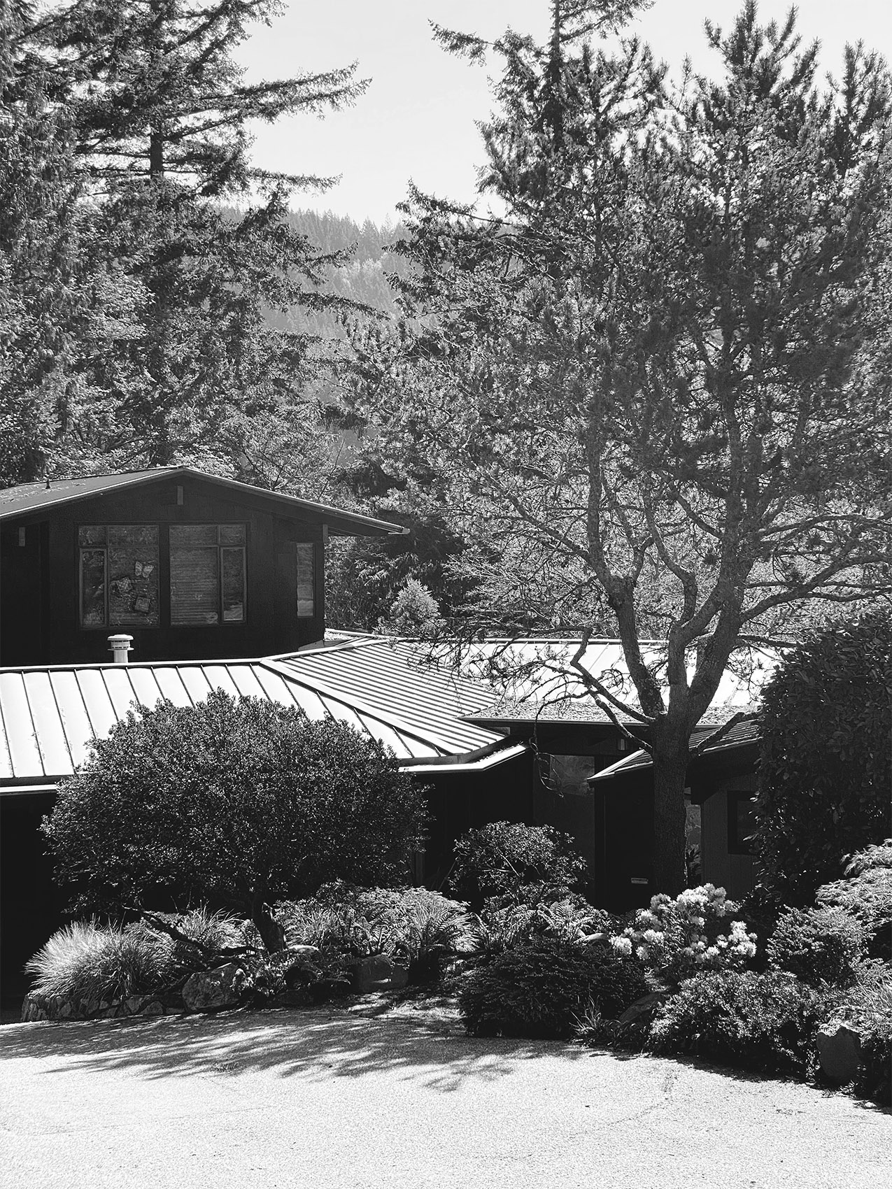 Gennis House, 1962