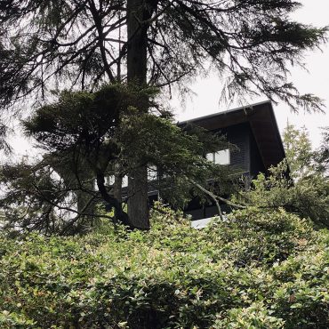 House with 4 Downspouts, 2019
