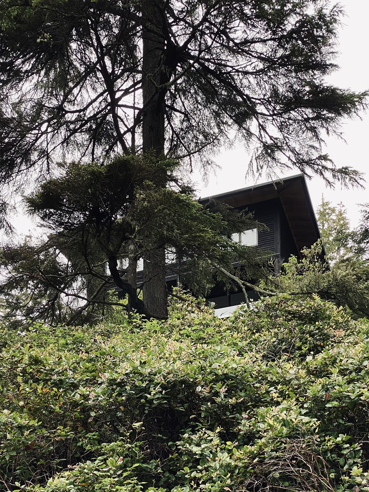 House with 4 Downspouts, 2019