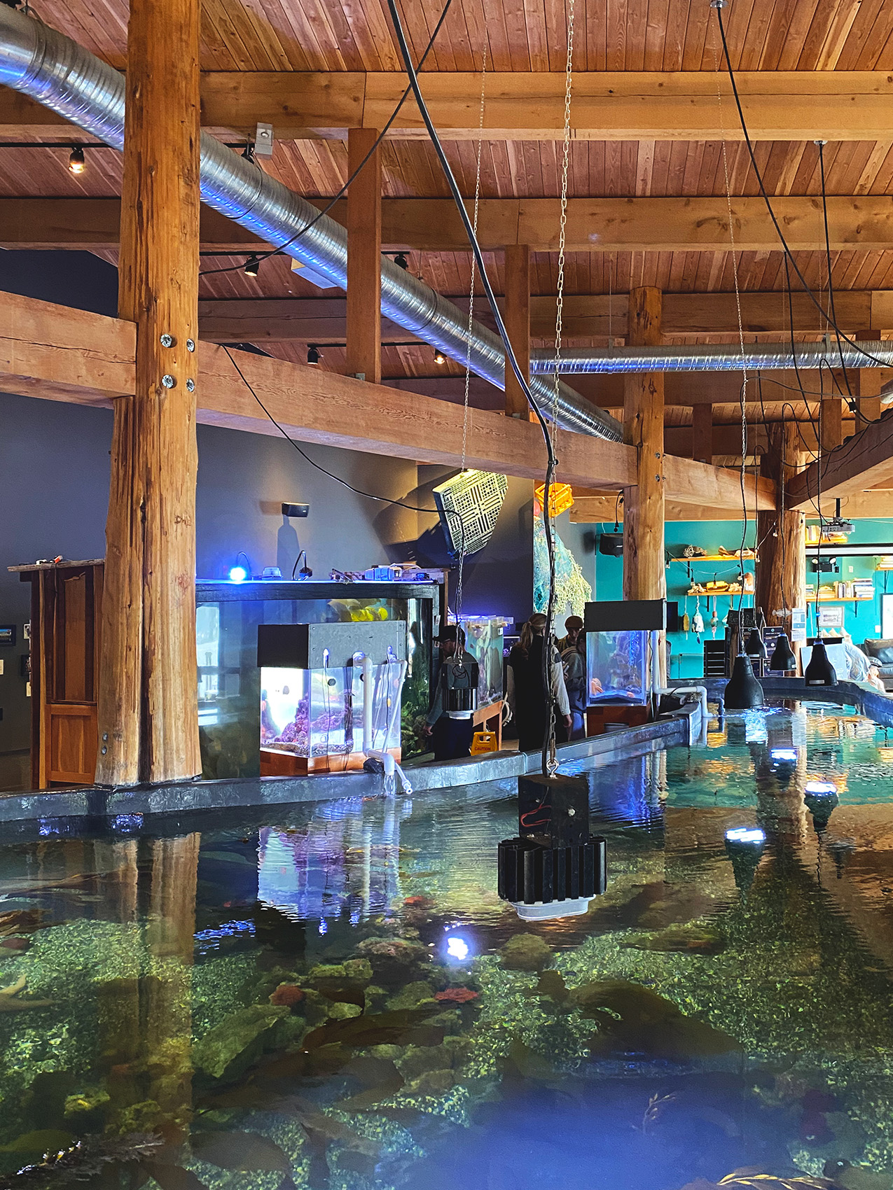 Ucluelet Aquarium, 2012