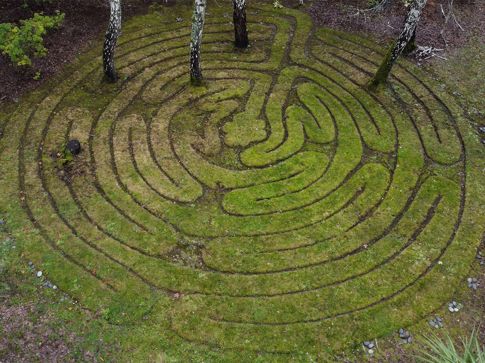 Carolyn Affleck, Labyrinth House, 2024.